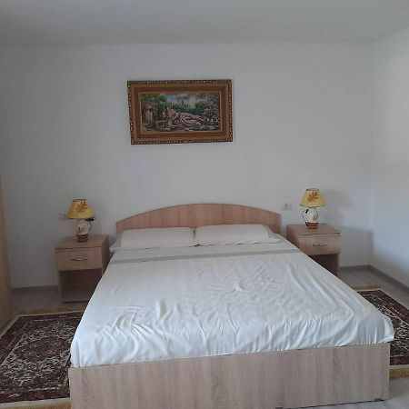 Casa M&M Daire Vişeu de Sus Dış mekan fotoğraf